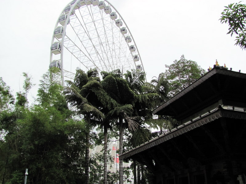 Photo of Brisbane wheel