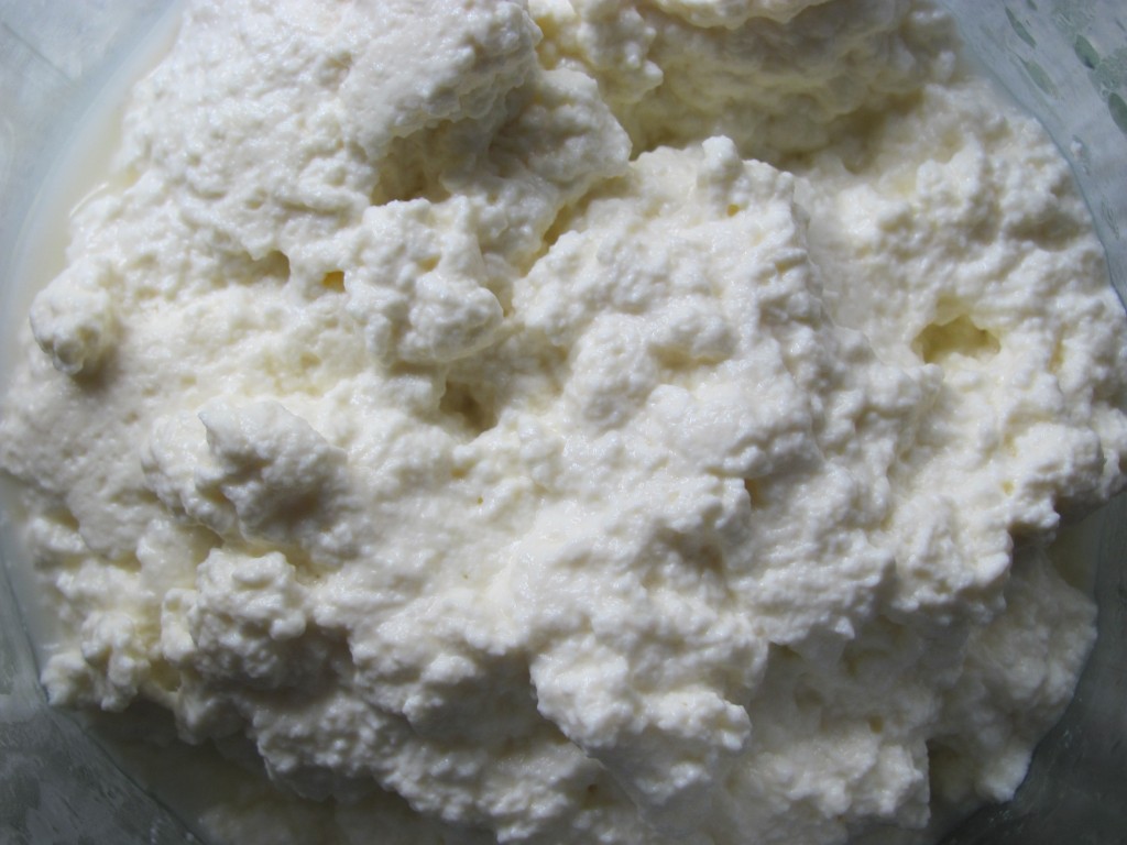Ricotta Dec 2012