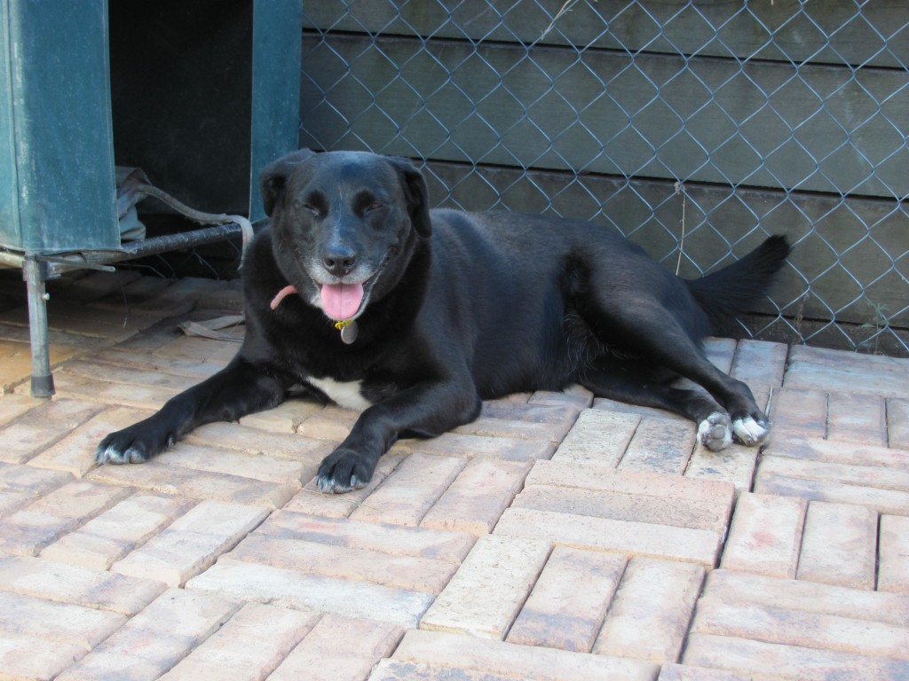 Chillin' Out Ebony Jan 2013